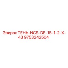 9753242504 ТЕНЬ-NCS-DE-15-1-2-X-43 Epiroc