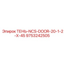 9753242505 ТЕНЬ-NCS-DOOR-20-1-2-X-45 Epiroc