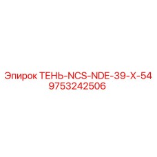 9753242506 ТЕНЬ-NCS-NDE-39-X-54 Epiroc