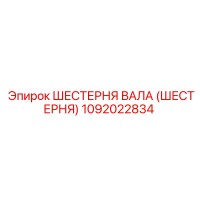 1092022834 ШЕСТЕРНЯ ВАЛА (ШЕСТЕРНЯ) Epiroc