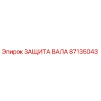 87135043 ЗАЩИТА ВАЛА Epiroc