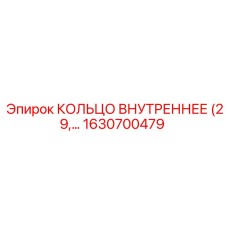1630700479 КОЛЬЦО ВНУТРЕННЕЕ (29) Epiroc