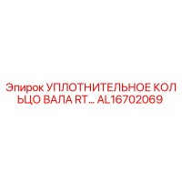 AL16702069 УПЛОТНИТЕЛЬНОЕ КОЛЬЦО ВАЛА RT Epiroc
