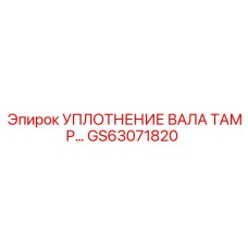 GS63071820 Уплотнение вала ТАМР Epiroc