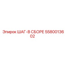 5580013602 ШАГ-В СБОРЕ Epiroc