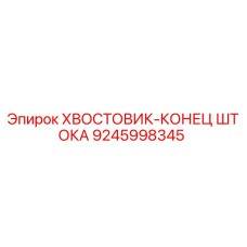 9245998345 ХВОСТОВИК-КОНЕЦ ШТОКА Epiroc