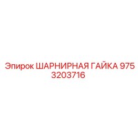 9753203716 ШАРНИРНАЯ ГАЙКА Epiroc