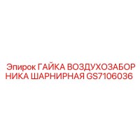 GS7106036 ГАЙКА ВОЗДУХОЗАБОРНИКА ШАРНИРНАЯ Epiroc