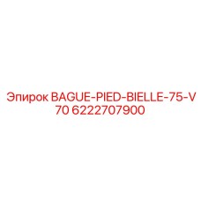 6222707900 BAGUE-PIED-BIELLE-75-V70 Epiroc