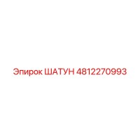 4812270993 ШАТУН Epiroc