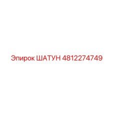 4812274749 ШАТУН Epiroc