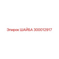 300012917 ШАЙБА Epiroc