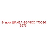 4700365673 ШАЙБА-BG48CC Epiroc