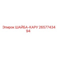 2657743494 ШАЙБА-КАРУ Epiroc