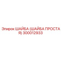 300012933 ШАЙБА (ШАЙБА ПРОСТАЯ) Epiroc