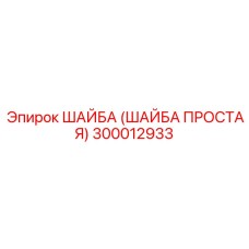 300012933 ШАЙБА (ШАЙБА ПРОСТАЯ) Epiroc