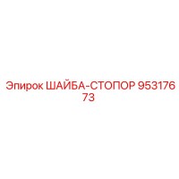 95317673 ШАЙБА-СТОПОР Epiroc
