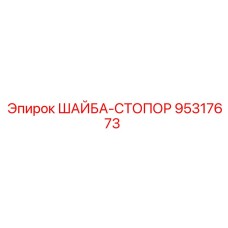 95317673 ШАЙБА-СТОПОР Epiroc