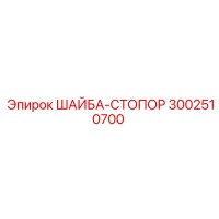 3002510700 ШАЙБА-СТОПОР Epiroc