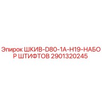 2901320245 ШКИВ-D80-1A-H19-НАБОР ШТИФТОВ - Epiroc