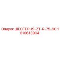 1616613904 ШЕСТЕРНЯ-ZT-R-75-90 Epiroc