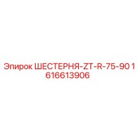 1616613906 ШЕСТЕРНЯ-ZT-R-75-90 Epiroc