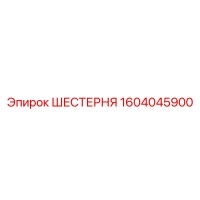 1604045900 ШЕСТЕРНЯ Epiroc