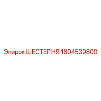 1604539800 ШЕСТЕРНЯ Epiroc