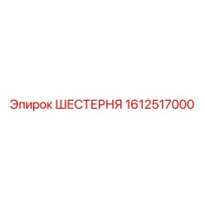 1612517000 ШЕСТЕРНЯ Epiroc