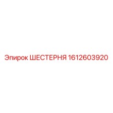1612603920 ШЕСТЕРНЯ Epiroc