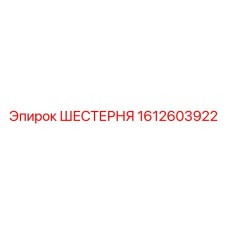 1612603922 ШЕСТЕРНЯ Epiroc