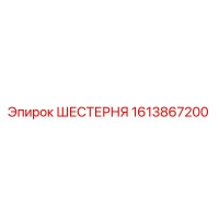 1613867200 ШЕСТЕРНЯ Epiroc