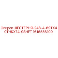 1616556100 ШЕСТЕРНЯ-248-4-69TX40THKX74-9SHFT Epiroc