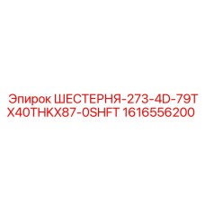 1616556200 ШЕСТЕРНЯ-273-4D-79TX40THKX87-0SHFT Epiroc