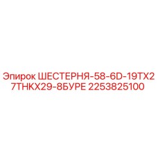 2253825100 ШЕСТЕРНЯ-58-6D-19TX27THKX29-8БУРЕ | Epiroc