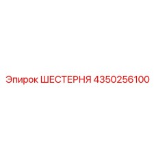 4350256100 ШЕСТЕРНЯ Epiroc