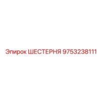 9753238111 ШЕСТЕРНЯ Epiroc