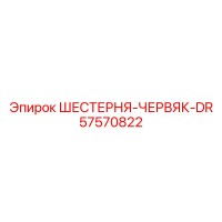 57570822 ШЕСТЕРНЯ-ЧЕРВЯК-DR Epiroc