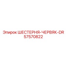 57570822 ШЕСТЕРНЯ-ЧЕРВЯК-DR Epiroc