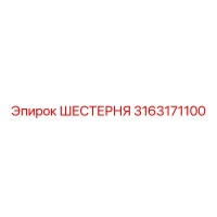 3163171100 ШЕСТЕРНЯ Epiroc