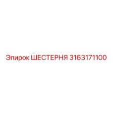 3163171100 ШЕСТЕРНЯ Epiroc