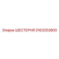 3163253800 ШЕСТЕРНЯ Epiroc