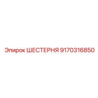 9170316850 ШЕСТЕРНЯ Epiroc