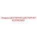 1623392500 ШЕСТЕРНЯ-ШЕСТЕРНЯ Epiroc