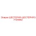 57725962 ШЕСТЕРНЯ-ШЕСТЕРНЯ Epiroc