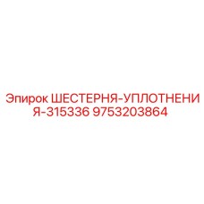 9753203864 ШЕСТЕРНЯ-УПЛОТНЕНИЯ-315336 Epiroc
