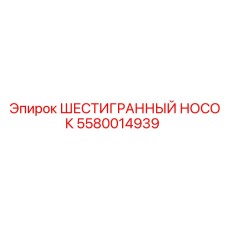 5580014939 ШЕСТИГРАННЫЙ НОСОК Epiroc