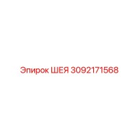 3092171568 ШЕЯ Epiroc