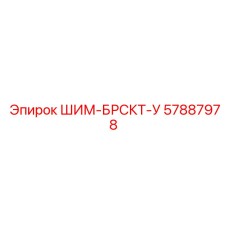 57887978 ШИМ-БРСКТ-У Epiroc