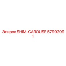 57992091 SHIM-CAROUSE Epiroc